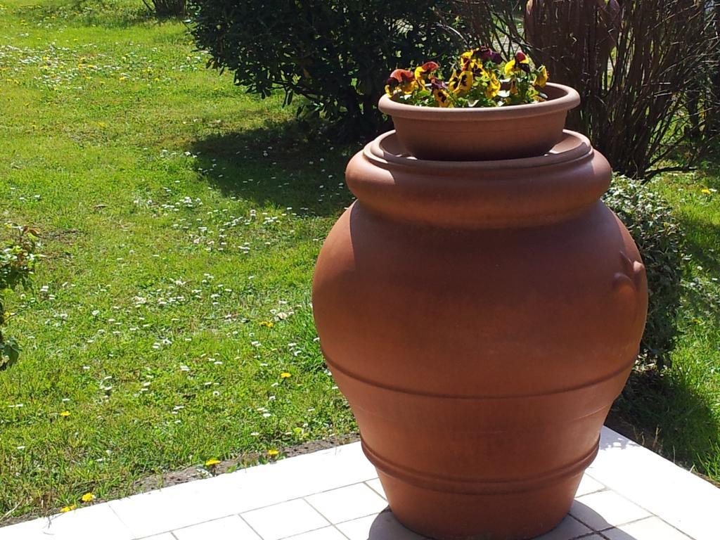 مارغيرا Dear Venice Bed & Breakfast المظهر الخارجي الصورة